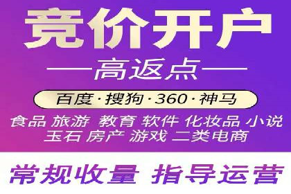 社交平台信息流广告推广的典型案例分析